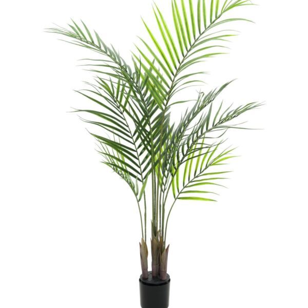EUROPALMS Areca palm with big leaves, artificial plant, 125cm