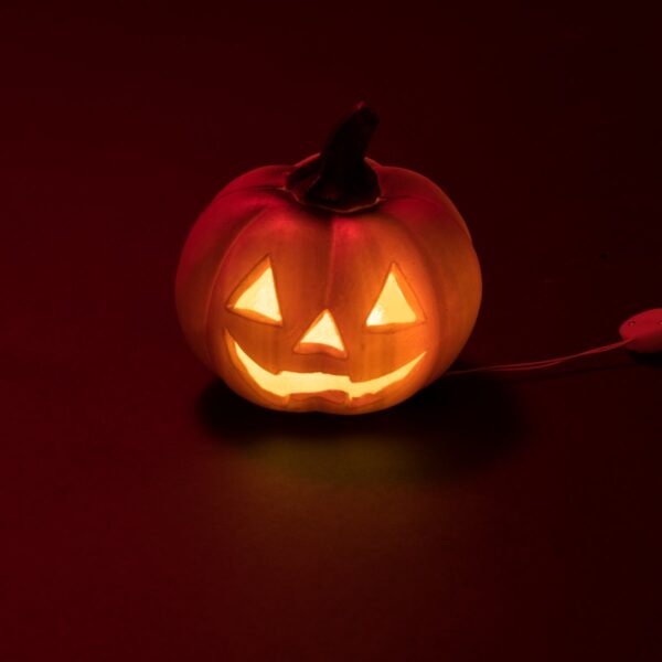 EUROPALMS Halloween Pumpkin illuminated, 12cm
